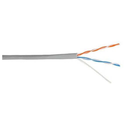 Кабель информационный Lanmaster NM-UTP5E2PR-CCA кат.5E U/UTP 2X2X24AWG PVC внутренний 305м серый