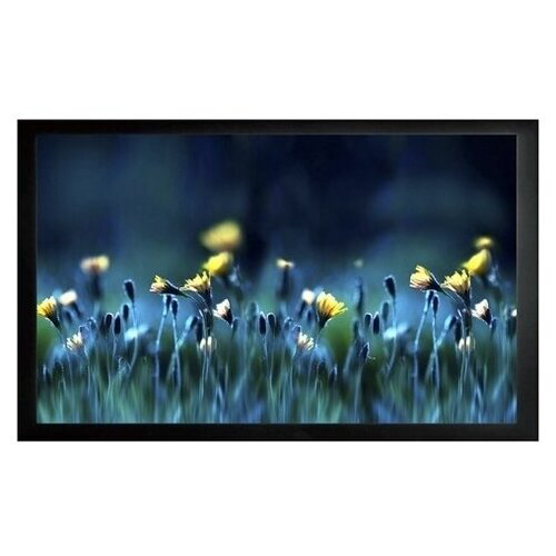 Экран на раме Cactus 113x200см FrameExpert CS-PSFRE-200X113 16:9 настенный натяжной