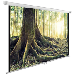 Экран Cactus 220x220см WallExpert CS-PSWE-220x220-WT 1:1 настенно-потолочный рулонный