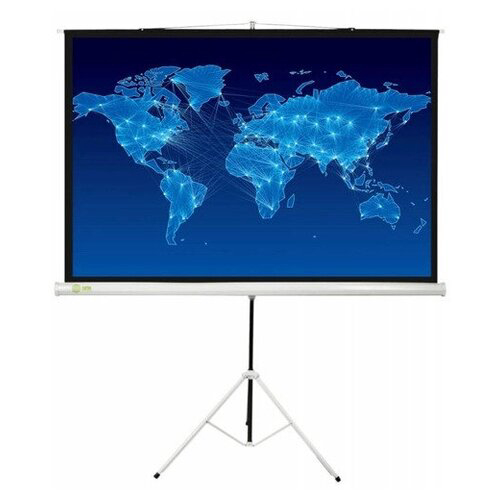 Экран Cactus 150x150см Triscreen CS-PST-150x150 1:1 напольный рулонный черный