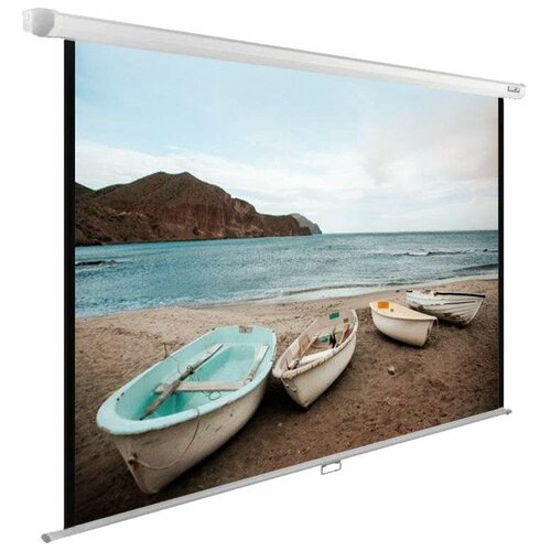 Экран Cactus 138x220см WallExpert CS-PSWE-220x138-WT 16:10 настенно-потолочный рулонный белый