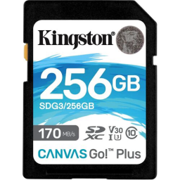 Флеш карта microSDXC 256Gb Class10 Kingston SDCG3/256GBSP Canvas Go! Plus w/o adapter